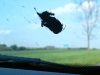 35-roadtrip_tabor-22-05-2011.jpg