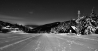 DSC_0781.jpg