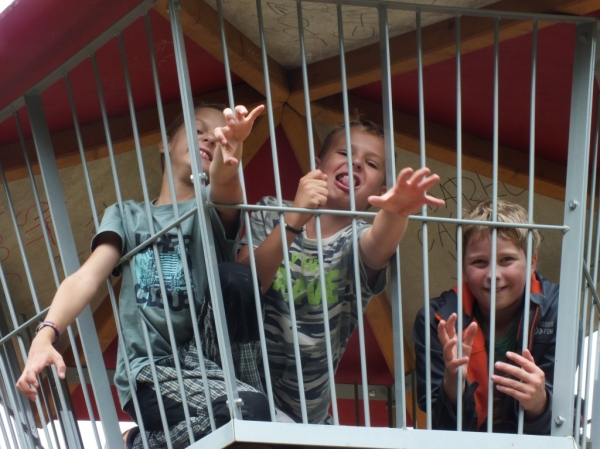 Klikněte pro zobrazení původního (velkého) obrázku