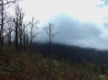 DSCF2877.JPG
