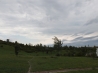 DSCF4446.JPG