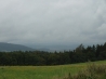 DSCF4501.JPG