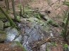 DSCF4504.JPG