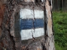 DSCF4510.JPG