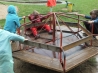 DSCF4527.JPG