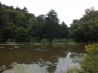 DSCF4606.JPG