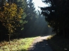 DSCF5191.JPG