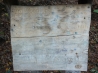 DSCF5223.JPG