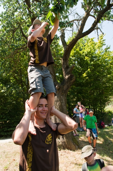 Klikněte pro zobrazení původního (velkého) obrázku