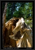 DSC_0090~1.jpg
