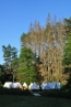 DSC_011~2.jpg