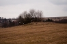 DSC_016~0.jpg
