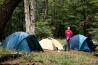 DSC_0539.jpg