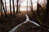 DSC_059~0.jpg