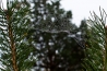 DSC_0736.jpg