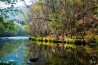 DSC_0847.jpg