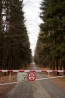 DSC_100~0.jpg