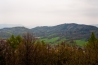 DSC_1374.jpg