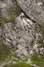 DSC_1387.jpg
