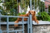DSC_1411.jpg