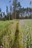 DSC_191~1.jpg