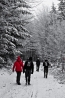 DSC_2053.jpg