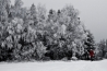 DSC_2063.jpg