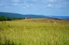 DSC_2119.JPG