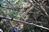 DSC_4572.JPG