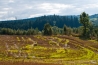 DSC_4793.jpg