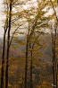 DSC_5220.jpg