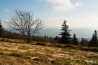 DSC_5248.jpg