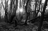 DSC_5275.jpg