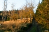 DSC_5294.jpg