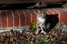 DSC_5347.jpg