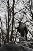 DSC_7429.JPG
