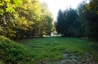 DSC_7494.jpg