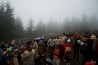 DSC_7804.jpg