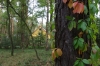 IMGP0178.JPG