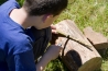 IMGP3079.jpg
