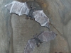 PA280286.JPG