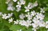2015-05-09_28829.jpg