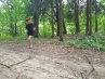 20180717_153701.jpg