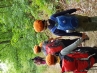 20180718_161233.jpg