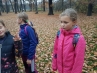 20181110_160509.jpg