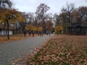 20181110_160822.jpg