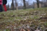 DSC_0159.JPG