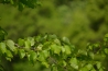 DSC_0719.JPG
