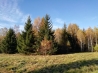 IMG_20191027_150324.jpg