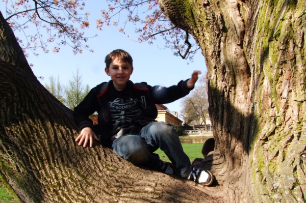 Klikněte pro zobrazení původního (velkého) obrázku